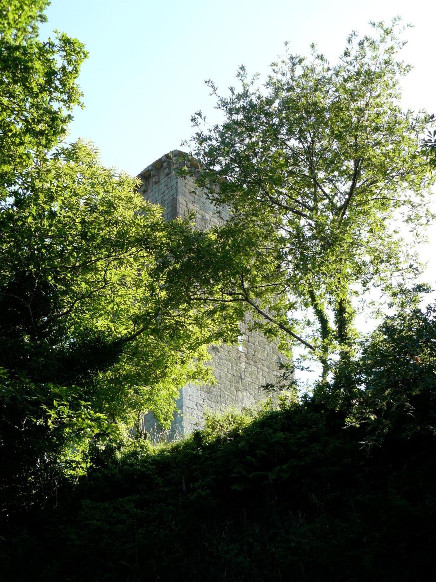 Rurales A Torre
